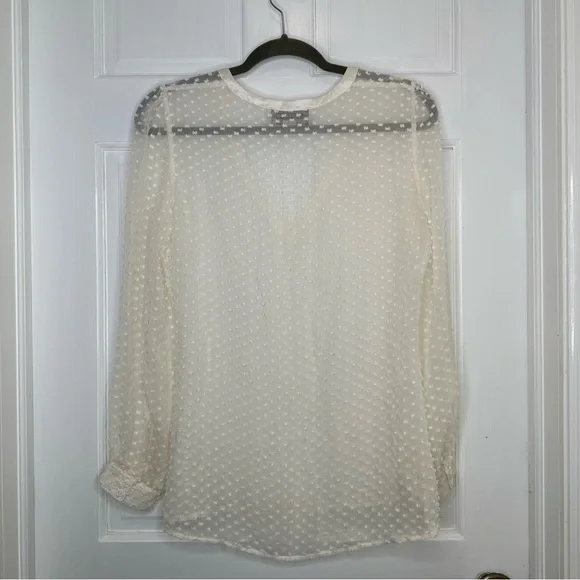 Beyond Vintage Swiss Dot V-Neck Long Sleeve Sheer Silk Top in White - Small - Picture 7 of 16